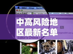 中高风险地区最新名单实时查询:中高风险是什么意思